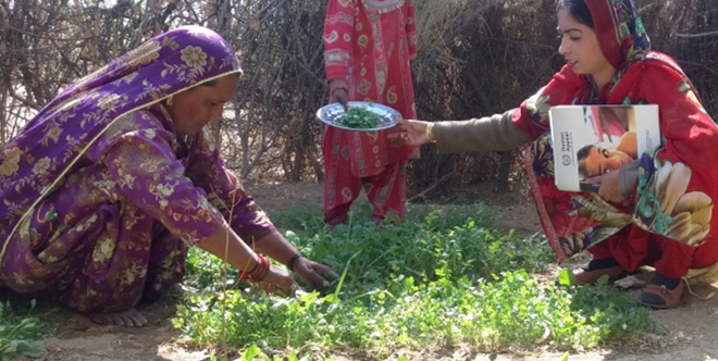 Kitchen Gardening 